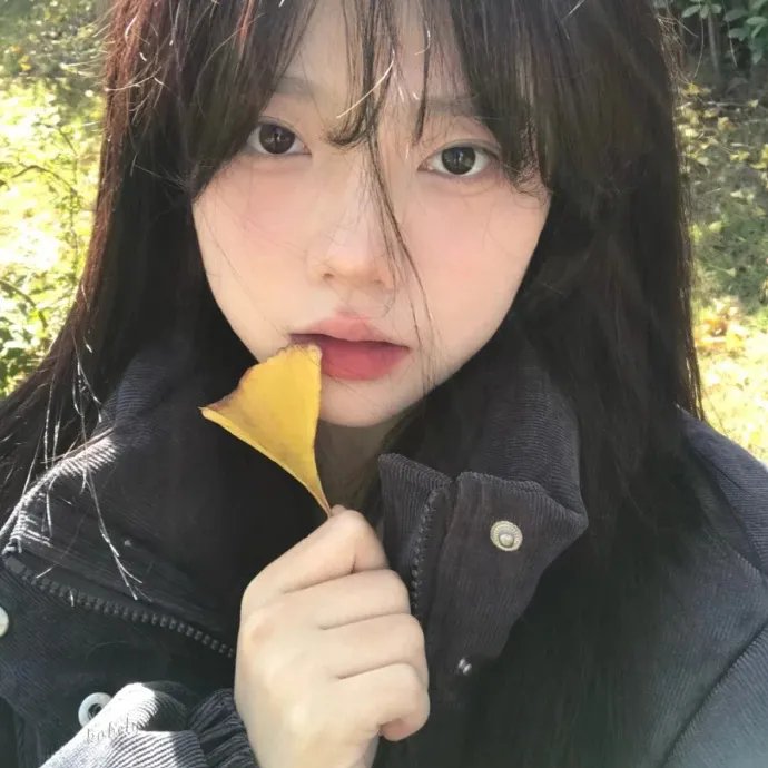 杰里:今天的故事