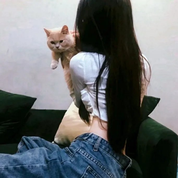 喷嚏熊猫
